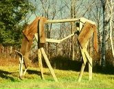 Фотография Лысенко Светланы