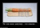 Аліна Котова фотография #47 (источник - https://vk.com/id6179769)