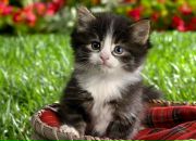 Фотография Захаровой Надежды