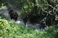 Сергей Назаров фотография #41 (источник - https://vk.com/id360346)