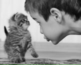 Александр Кононенко фотография #25 (источник - https://vk.com/id640575)