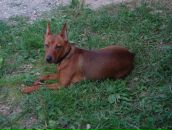 Фотография Юдиной Ларисы