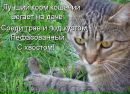 Сергій Богусевич фотография #27 (источник - https://vk.com/id63311509)
