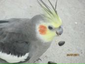Ірина Бузяк фотография #5 (источник - https://vk.com/id133694474)