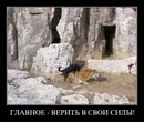 Валєра Ровенский фотография #24 (источник - https://vk.com/id152848494)