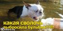 Владік Бодак фотография #41 (источник - https://vk.com/id141204095)