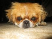 Тамара Ліщук фотография #39 (источник - https://vk.com/id24331672)