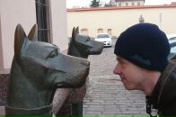 Фотография Васильева Александра