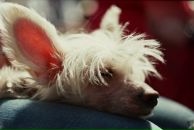 Фотография Иккерт Смирновой Александры