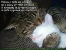 Ірина Демешкіна фотография #40 (источник - https://vk.com/id60720086)
