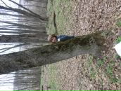 Фотография Русиной Надежды