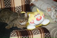 Фотография Гвелесиани Зои