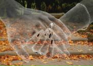 Фотография Анатольевой Светланы