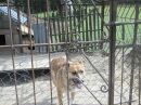 Ліля Ільюх фотография #18 (источник - https://vk.com/id63211822)