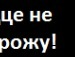 Сергій Плиска фотография #20 (источник - https://vk.com/id123117716)