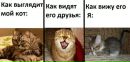 Кароліна Зубкова фотография #35 (источник - https://vk.com/id162340257)