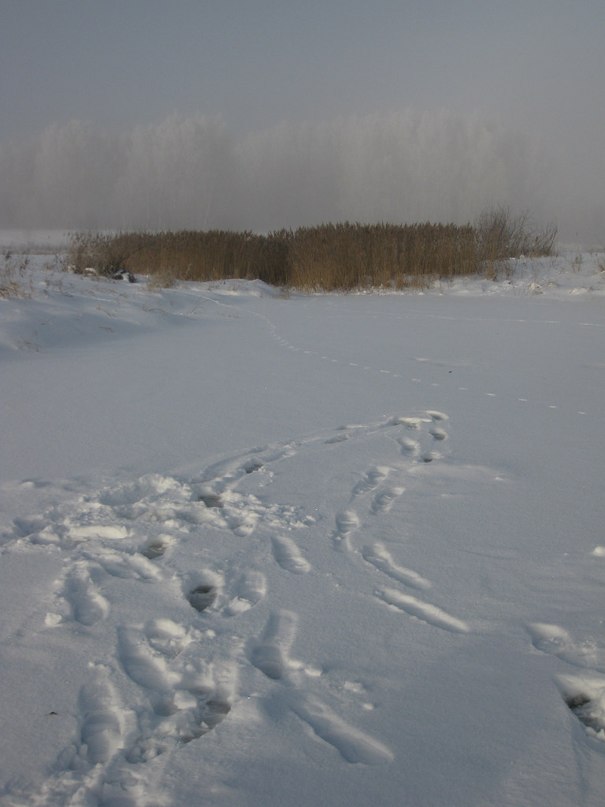 Роман Кубышкин фотография #48