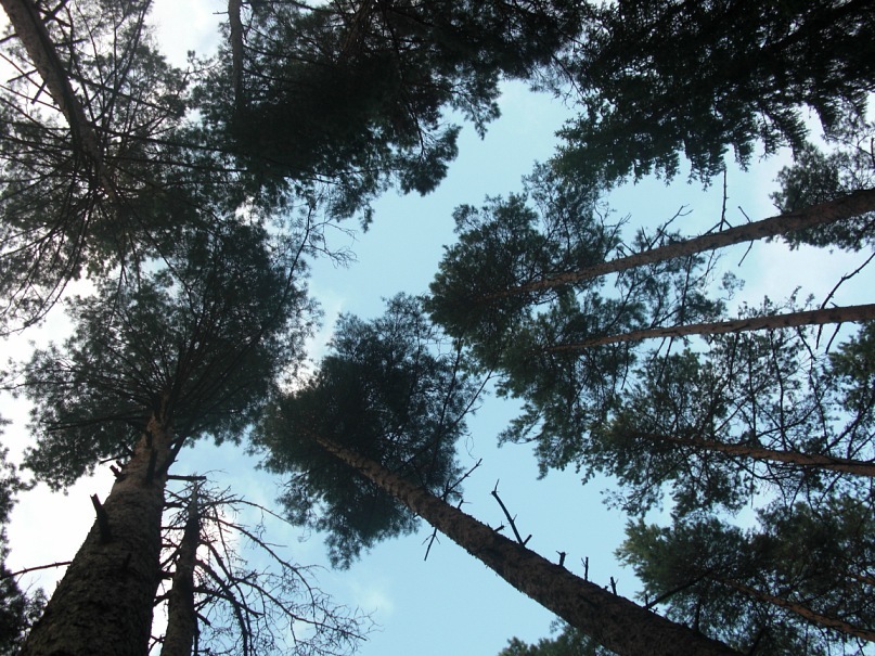 Александр Поляков фотография #50