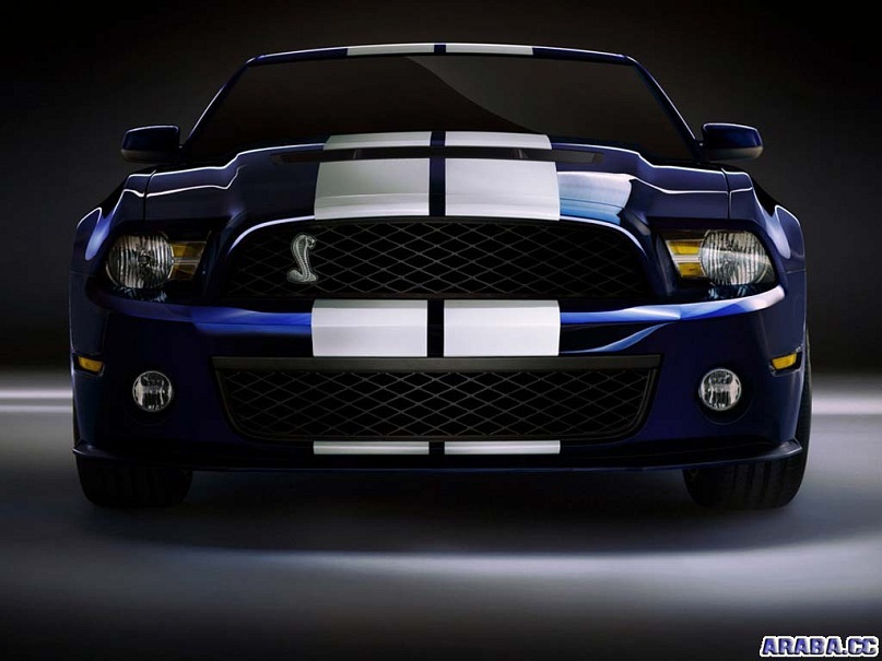 Сергей Гутников фотография #35