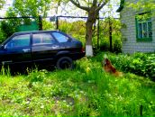 Шурік Кожушко фотография #13 (источник - https://vk.com/id30142857)