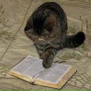 Фотография Кима Артура