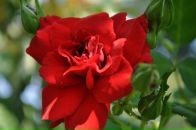 Фотография Миляевой Евгении