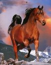 Οлеся Κудрявцева фотография #20 (источник - https://vk.com/id169427654)