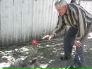 Петя Піскун фотография #16 (источник - https://vk.com/id166976186)