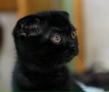 Фотография Абросимовой Веры