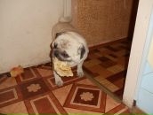 Фотография Александровны Елены