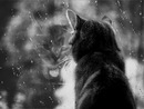 Фотография Беловой Ольги