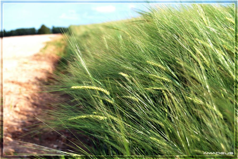 Евгений Сивец фото №12