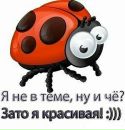 Фотография Darwich Matti