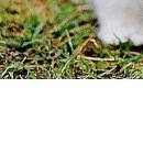 Ірина Мисюк фотография #43 (источник - https://vk.com/id105920111)