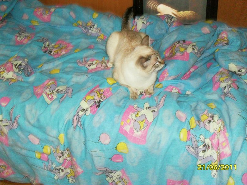 Игорь Лихачёв фотография #49