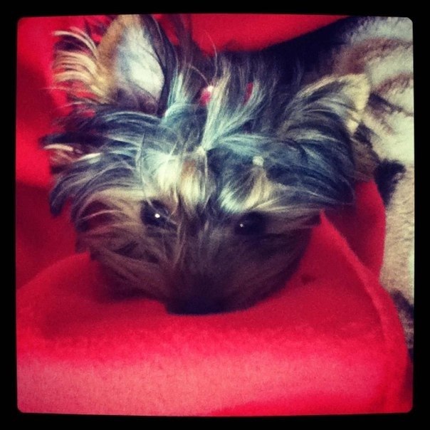 №5, Александр Еремеев, 36 лет, Москва №5, Александр Еремеев, 36 лет, Москва