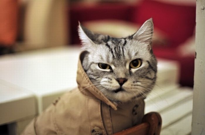 Иван Иванов фотография #19