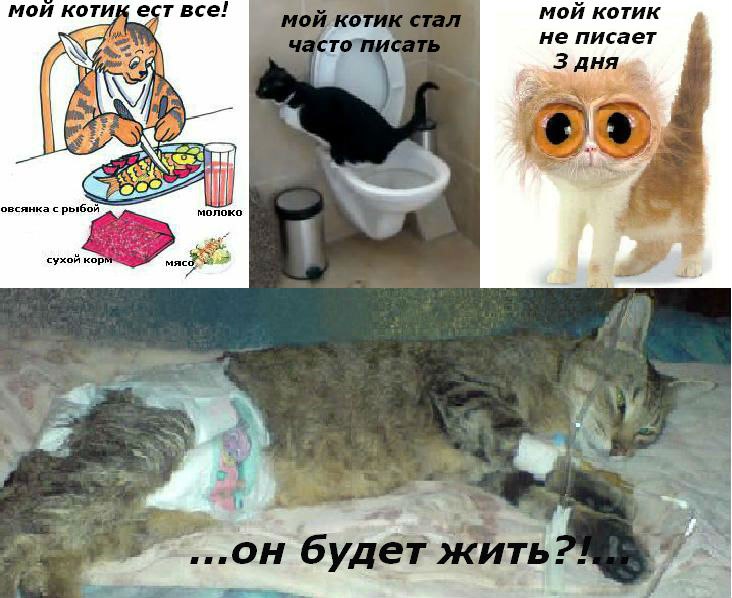 Сергей Барков фотография #11