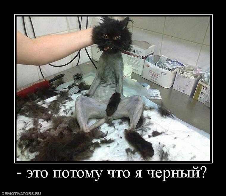 Д1м@ WAYNE фотография #43