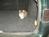 Дарія Співак фотография #14 (источник - https://vk.com/id65651763)