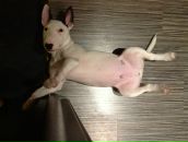 Андрей Утробин фотография #25 (источник - https://vk.com/id327663)