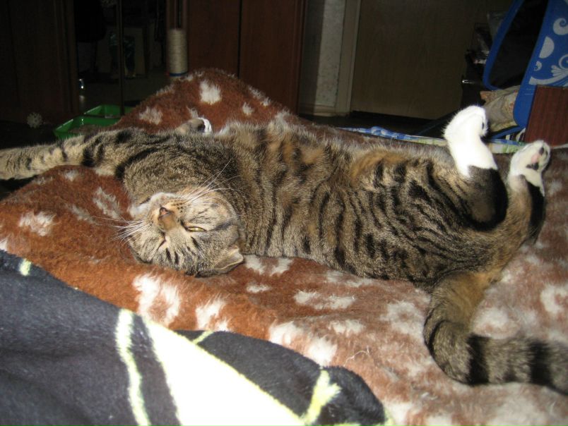 №15, Анастасия Кулькова №15, Анастасия Кулькова