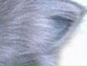 Лера Лоц фотография #13 (источник - https://vk.com/id57504657)