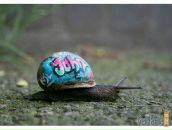 Саша ^^ фотография #26 (источник - https://vk.com/id136449117)