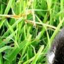 Іванка Мороз фотография #27 (источник - https://vk.com/id106515074)