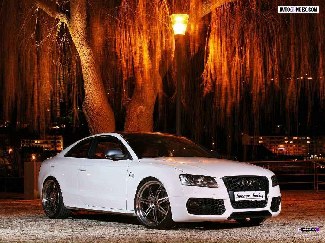 Дмитрий Мелков фотография #16