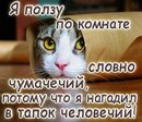 Андрій Дукач фотография #21 (источник - https://vk.com/id161357840)