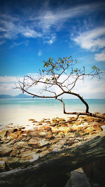 №16, Ярослава Кобзева, Сочи №16, Ярослава Кобзева, Сочи