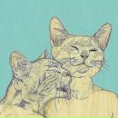 Фотография Барановой Анастасии