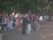 Васька Могіш фотография #33 (источник - https://vk.com/id27808011)